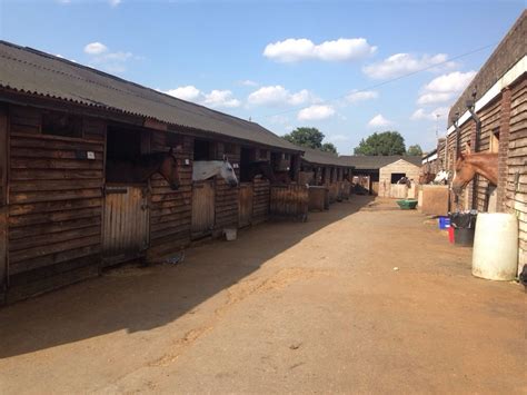 Trent Park Equestrian Centre